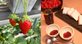 地域に根差す扉グループが9月23日(土)・24日(日)、松本市中山地区「2023なかやま体験フェスタ」にて「扉温泉 明神館」パティシエ特製いちごジャムを試食販売