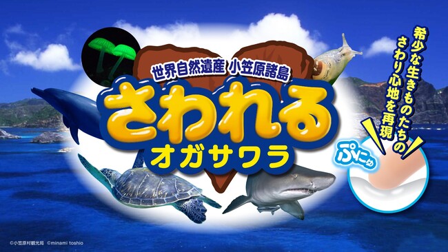 CCCMKホールディングス×小笠原村観光局 共育プロジェクト「おがさわラボ」で商品開発！小笠原の生きものを“触感で楽しむ“『さわれるオガサワラ』すみだ水族館で9月30日に販売