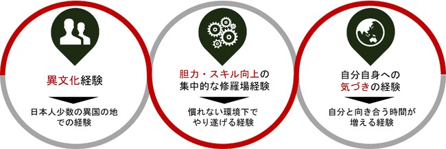 ～海外ビジネスの視点/グローバルビジネス感覚を醸成する～「リアルビジネス課題解決プログラム」リリースのお知らせ