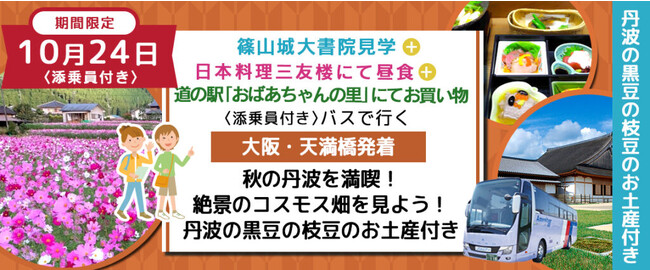 ＜お一人様￥9,800->※新商品※《丹波の黒豆お土産付き》【兵庫県・丹波】〈添乗員付き〉 コスモス畑＋篠山城大書院散策＋ご昼食をご堪能＋地元の農作物を買いに行こう　丹波の秋を感じる日帰りバスプラン