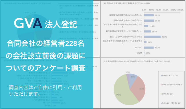 合同会社の経営者228名に、会社設立から設立後における課題についてアンケート調査を実施しました