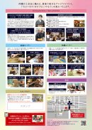 チラシ裏面