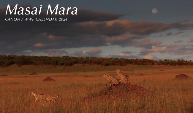 「キヤノン/WWFカレンダー2024 Masai Mara」を発売