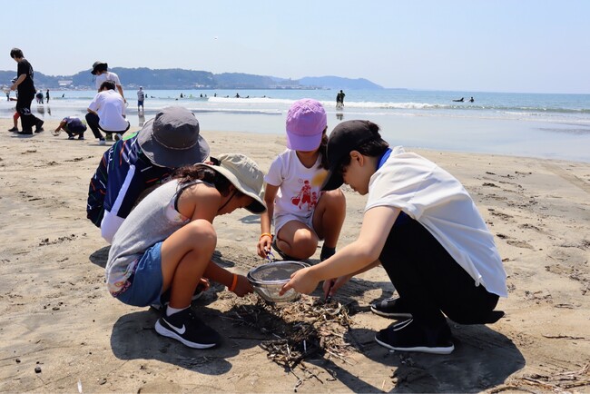 【神奈川工科大学×明日葉】海の豊かさとプラスチックごみ問題を考える「SDGs×理科実験教室」を実施