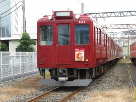 D24編成(こどもの国号) D24編成(こどもの国号)