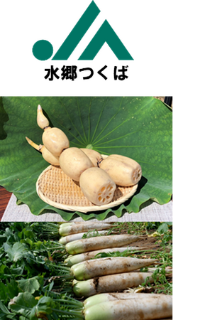 茨城県の魅力をアトレ松戸から発信！「いばらき日和～松戸×茨城＝ばくぐいだっぺよ！～」第2弾は、特別メニュー販売や先着プレゼントも！