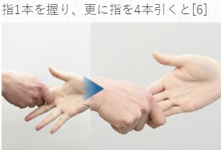 福(ふく)のシーズン到来!山口県「ふぐの初競り」9月25日実施