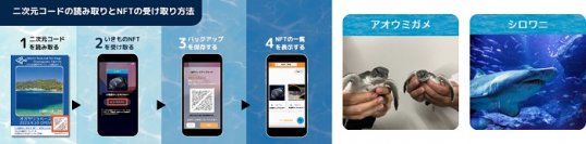 【オリックス銀行】すみだ水族館でNFT付きカード配布の実証実験を開始