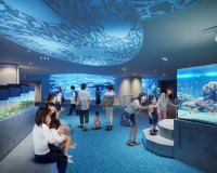 【すみだ水族館】新エリア「小笠原」&新常設展示「オガサワラベース」がついにオープン
9月30日より公開記念プログラムを開催