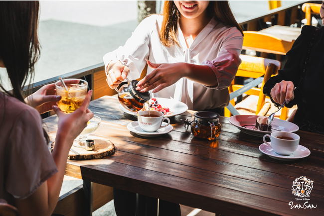 【Italian Kitchen VANSAN】最上級茶葉を使った話題の「ムレスナティー」16種の飲み放題をはじめ秋の新メニューを2023年9月21日(木)より販売開始