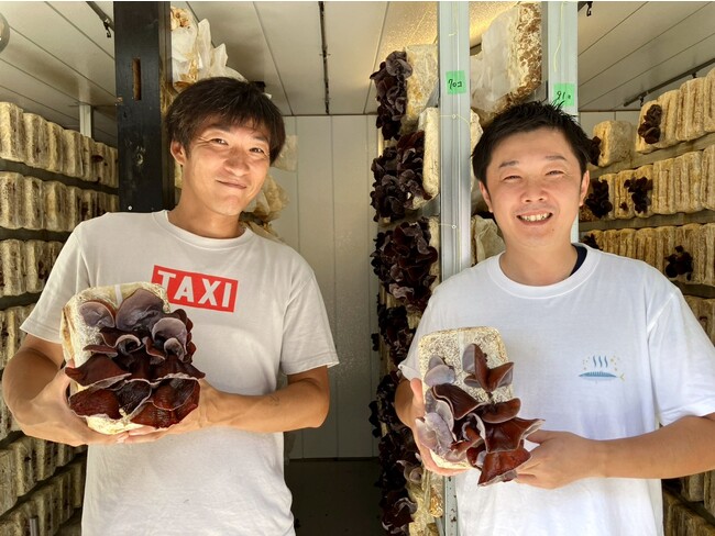埼玉県産の希少な生きくらげ「あの日のはごたえ」を使用した限定メニューが、おふろcafe 白寿の湯に登場
