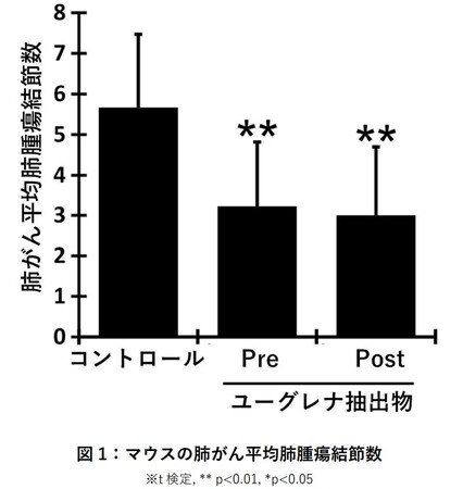 微細藻類ユーグレナ粉末抽出物による肺がん増殖抑制効果は、腸内細菌叢から産生される短鎖脂肪酸によるがん細胞のアポトーシスの誘発によって起こっている可能性を確認しました