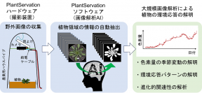 画像解析AIを利用して植物の環境応答解析システムを開発