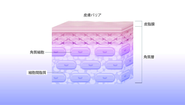 敏感肌ケアの新たな方向性