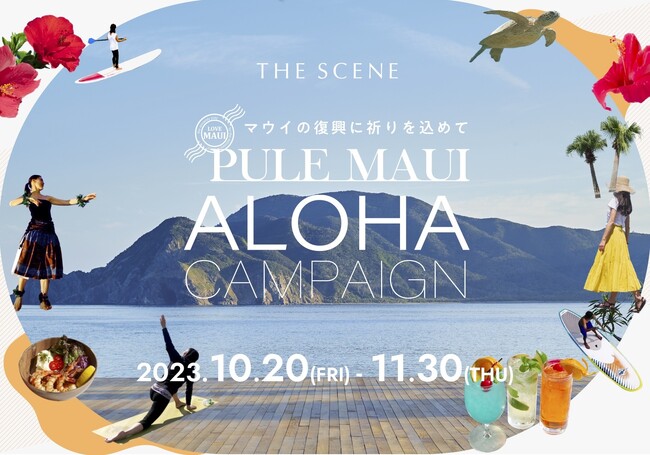 年間200日夏を楽しめる奄美大島　ウェルネスリゾート「THE SCENE」まだまだ夏は終わらない「ENDRESS SUMMER AMAMI」キャンペーンを実施