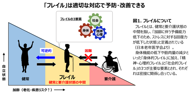 ポーラ化成工業、国立長寿医療研究センターと「フレイル」の共同研究を開始