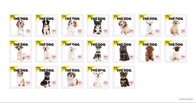 デジタルペットゲーム『LOOTaDOG』を運営するLehmanSoftと魚眼レンズで撮影された犬や猫のユニークな表情が特徴的な『THE DOG(TM)️』によるコラボキャンペーンの開催のお知らせ