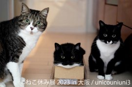 展示作品1 展示作品1