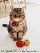 展示作品2 展示作品2