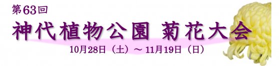 開園当初から続く「神代植物公園　菊花大会」を開催します【10/28～11/19】