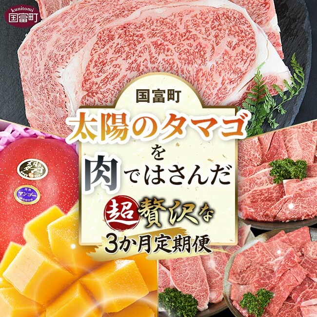マンゴーを肉ではさんだ!?ふるさと納税返礼品が登場
