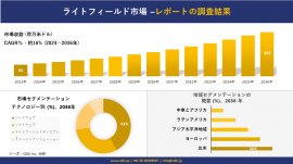 ライトフィールド市場の発展 ライトフィールド市場の発展