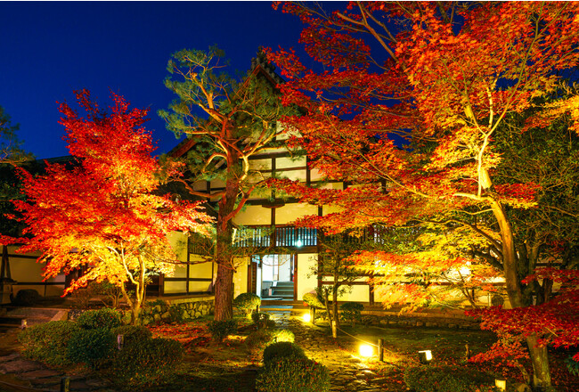 京都嵐山　鹿王院夜の特別拝観２０２３