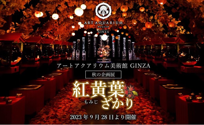 アートアクアリウム美術館 GINZA　秋の企画展　秋の金魚、いとエモし「紅黄葉（もみじ）ざかり」本日9月28日開幕！