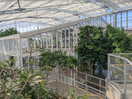 関西最大級の大規模農業公園「見土呂フルーツパーク」公園内にレストランとグリーンショップが10月6日（金）にオープン