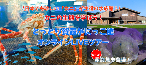 【こどハピ】日本でも珍しい！カニが主役の水族館「鳥取県立とっとり賀露かにっこ館」協賛 水生生物の生態を学ぶ特別授業第二弾を10月29日（日）に開催　今回は深海魚も登場