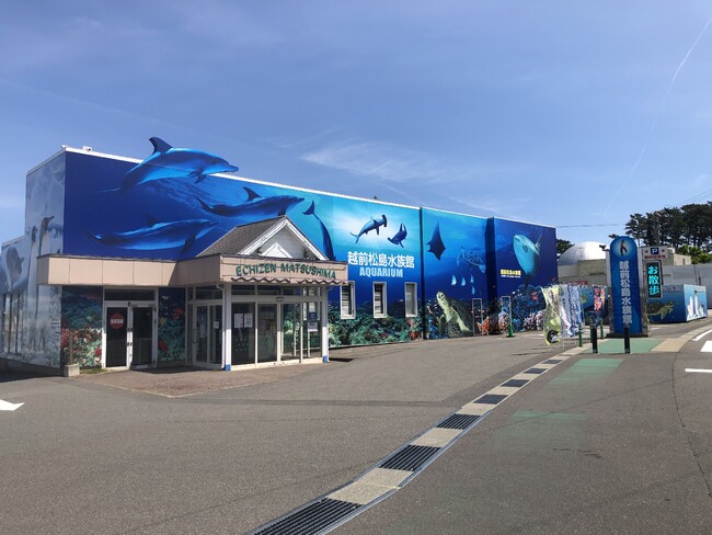 【JAF福井】越前松島水族館で見て・触れて・楽しく学ぶ「いま、私たちの未来を考える」イベントを開催！