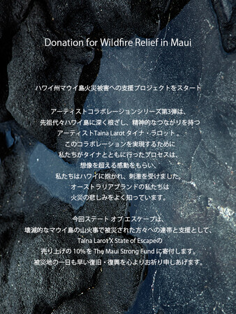 ハワイ州マウイ島火災被害への支援プロジェクトをスタート
