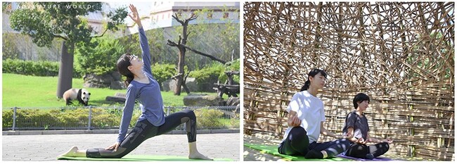 HAPPY PANDA FES ２０２３　日々の喧騒を忘れ心と体を整える、パンダと繋がり自分と向き合ってみませんか？　「パンダとおはヨガ２０２３」を開催します