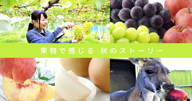 Cameconにて長野県須坂市が2回目のコンテストを開催！「秋」をテーマに写真を募集！全国から参加可能です