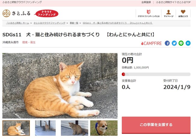 沖縄県糸満市とさとふる、犬や猫の不妊・去勢手術費用の一部を補助するため寄付受け付けを開始
