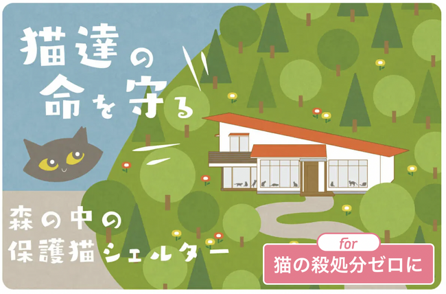 For Goodにて、殺処分される保護猫の保護＆看取りシェルター開設を目指したクラウドファンディングが開始