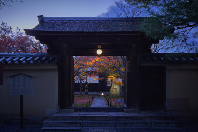 大徳寺黄梅院が初のライトアップ！京都の上質な文化体験を提供する京都春秋が手掛ける2日間限定 大徳寺黄梅院 『錦秋晩餐会』を開催