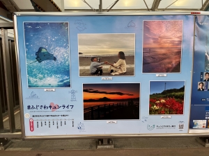 【藤沢市】Instagramフォトキャンペーンを今年も開催！