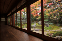 通常非公開・東福寺塔頭「正覚庵」秋の特別拝観　～苔と紅葉が彩る庭園や本堂(旧白洲屋敷)を公開～