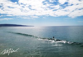 WTW イメージ(1) WTW イメージ(1)