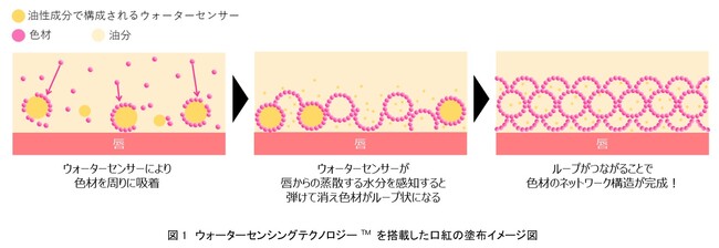 資生堂、色持ち・二次付着レス効果を実現する革新的技術「ウォーターセンシングテクノロジーTM」を開発　～なめらかで軽いつけ心地と高い色持ち効果の両方を叶える口紅～