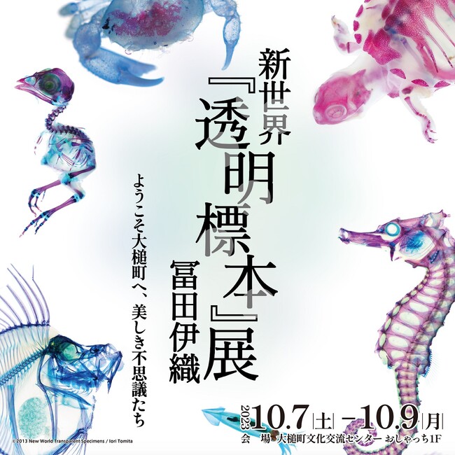 【岩手初】特別展 冨田伊織 新世界『透明標本』展 10/7(土)より大槌町文化交流センターおしゃっちにて開催