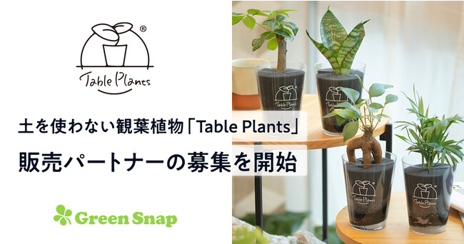 土を使わない観葉植物のD2Cブランド「Table Plants」、販売パートナーの募集を開始