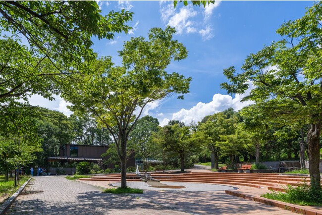 「鳥取市ｐｒｅｓｅｎｔｓ大健康チャリティーウオークｉｎ千里中央公園」11月12日開催【報知新聞社】