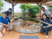 沼津市・万葉の湯で木の日(10月8日)限定イベント開催　富士ヒノキが香る「富士ヒノキ風呂」を実施
