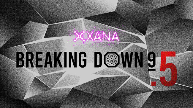 BreakingDown9.5のプラチナスポンサーに「SAWA」が就任！