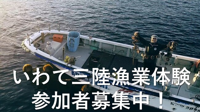 「いわて三陸漁業体験」の参加者を募集中！