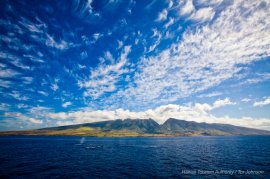 マウイ島 マウイ島
