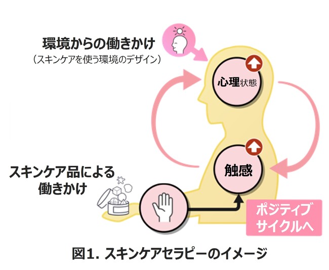 スキンケアセラピー実現の土台を構築　ポーラ化成、世界的に権威ある化粧品技術者学会にて発表　