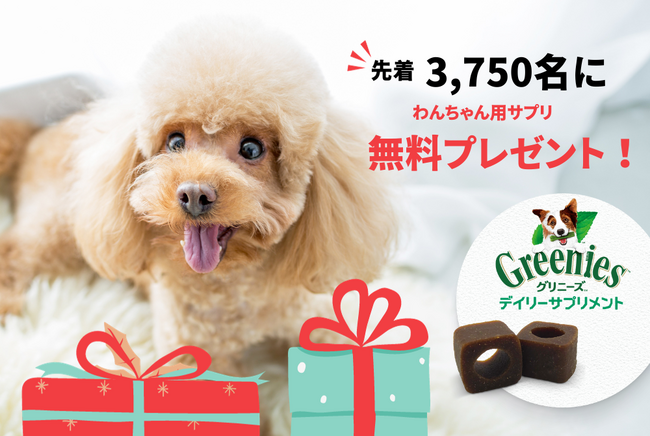 【期間限定】Perrole×グリニーズ(TM) 先着3,750名様にプレゼントキャンペーンを実施